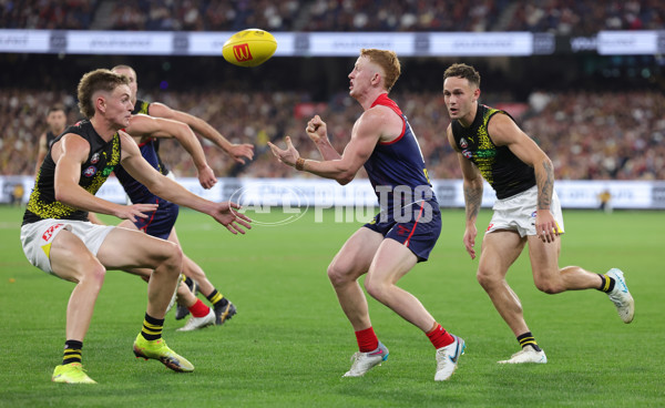 AFL 2025 Round 07 - Melbourne v Richmond - A-58932229