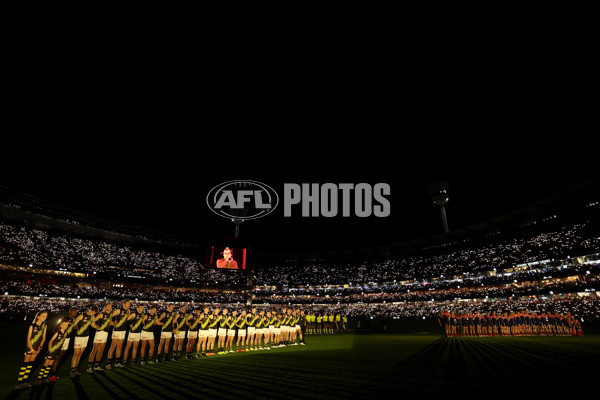 AFL 2025 Round 07 - Melbourne v Richmond - A-58932253