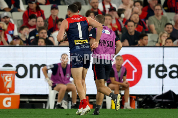 AFL 2025 Round 07 - Melbourne v Richmond - A-58932279