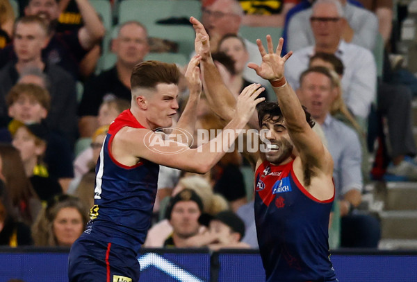 AFL 2025 Round 07 - Melbourne v Richmond - A-58933037