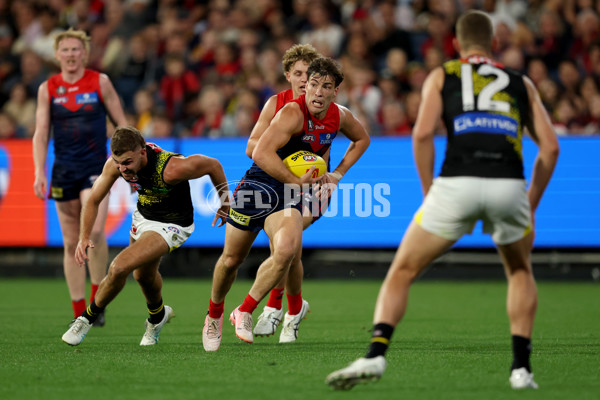 AFL 2025 Round 07 - Melbourne v Richmond - A-58934778