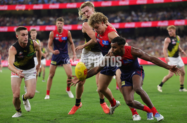 AFL 2025 Round 07 - Melbourne v Richmond - A-58935851