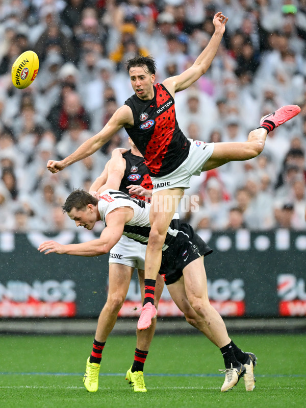 AFL 2025 Round 07 - Collingwood v Essendon - A-58942923