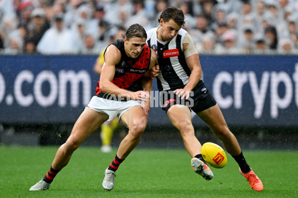 AFL 2025 Round 07 - Collingwood v Essendon - A-58942940