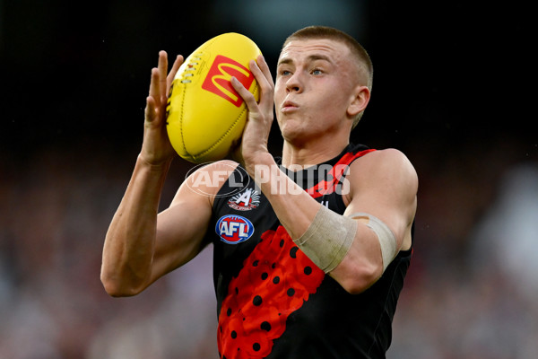 AFL 2025 Round 07 - Collingwood v Essendon - A-58942993
