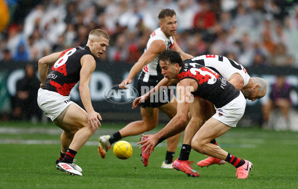 AFL 2025 Round 07 - Collingwood v Essendon - A-58943509