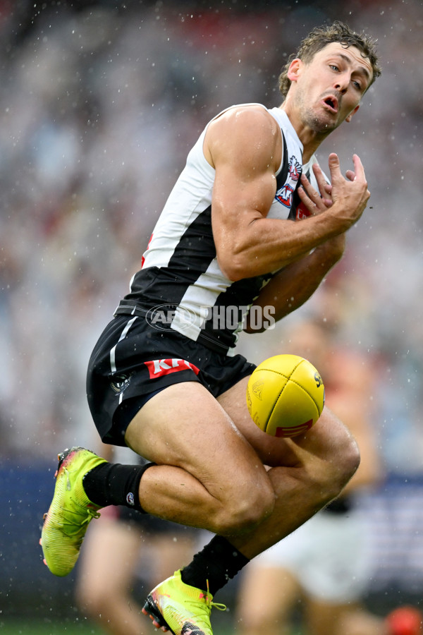 AFL 2025 Round 07 - Collingwood v Essendon - A-58943525