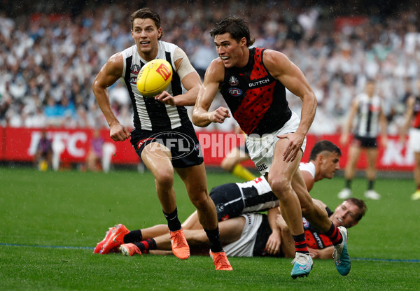 AFL 2025 Round 07 - Collingwood v Essendon - A-58943550