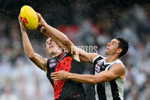 AFL 2025 Round 07 - Collingwood v Essendon - A-58943579