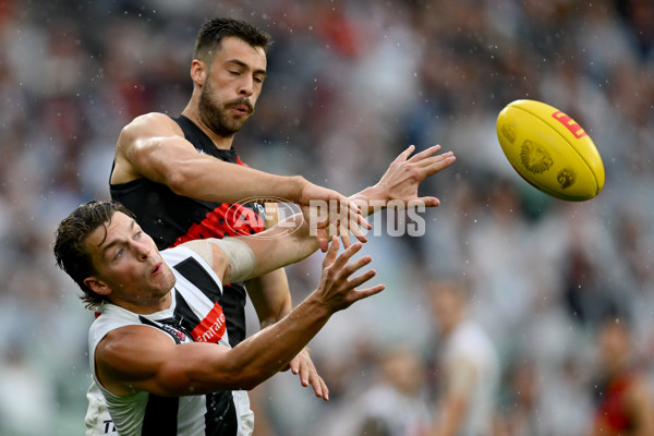 AFL 2025 Round 07 - Collingwood v Essendon - A-58943581