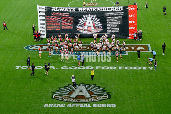 AFL 2025 Round 07 - Collingwood v Essendon - A-58945635