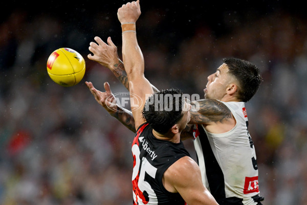 AFL 2025 Round 07 - Collingwood v Essendon - A-58948281