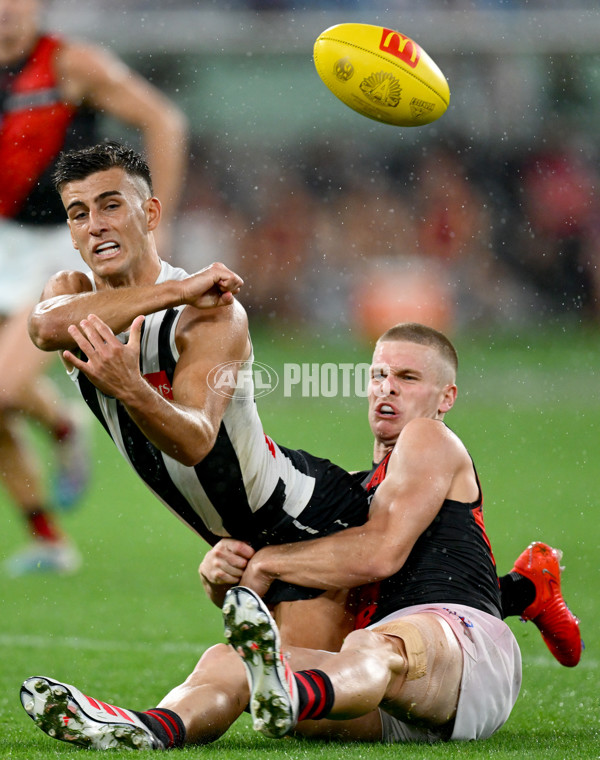 AFL 2025 Round 07 - Collingwood v Essendon - A-58948575