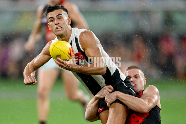 AFL 2025 Round 07 - Collingwood v Essendon - A-58948577