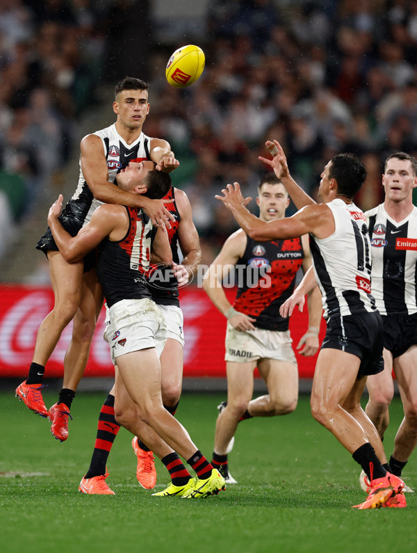 AFL 2025 Round 07 - Collingwood v Essendon - A-58951061