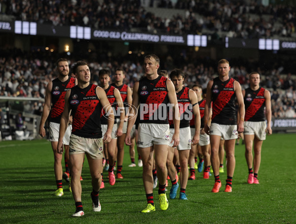 AFL 2025 Round 07 - Collingwood v Essendon - A-58951184