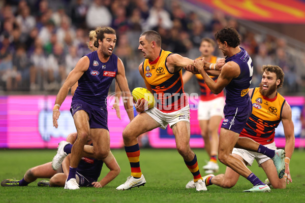 AFL 2025 Round 07 - Fremantle v Adelaide - A-58955818