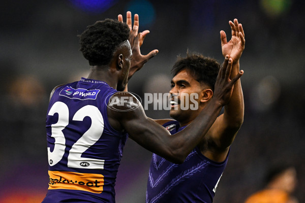 AFL 2025 Round 07 - Fremantle v Adelaide - A-58956035