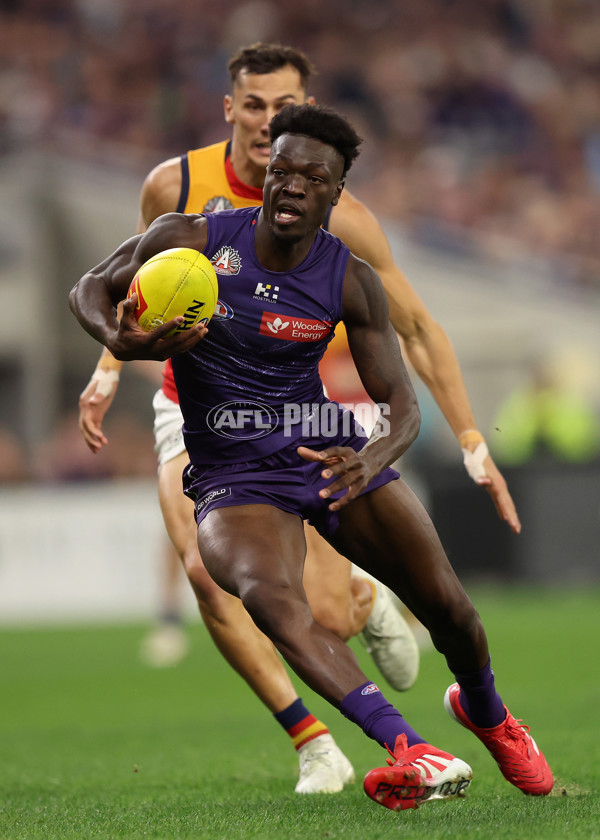 AFL 2025 Round 07 - Fremantle v Adelaide - A-58956087