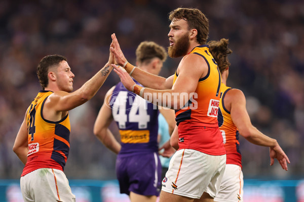 AFL 2025 Round 07 - Fremantle v Adelaide - A-58958503