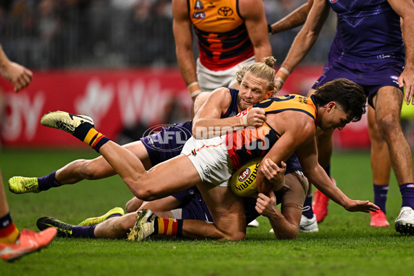 AFL 2025 Round 07 - Fremantle v Adelaide - A-58958516