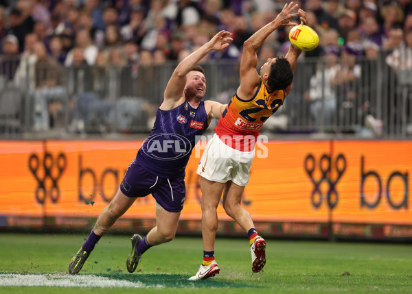 AFL 2025 Round 07 - Fremantle v Adelaide - A-58963219