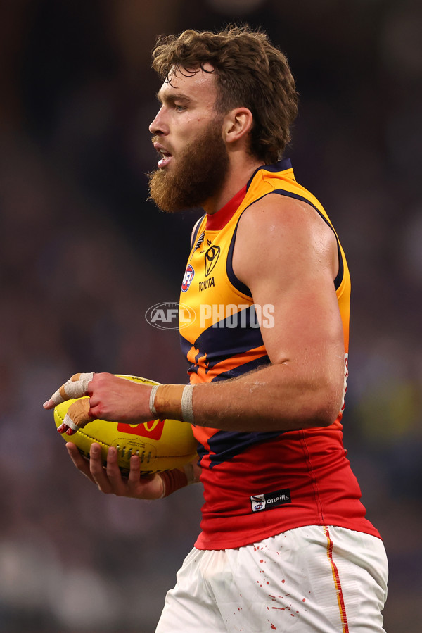 AFL 2025 Round 07 - Fremantle v Adelaide - A-58963765