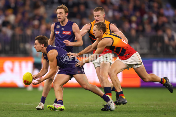 AFL 2025 Round 07 - Fremantle v Adelaide - A-58963776