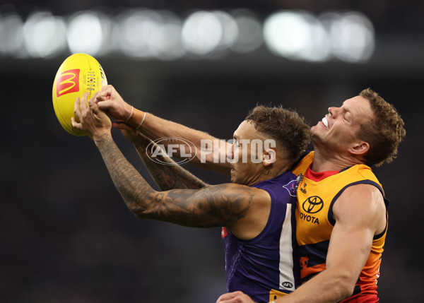 AFL 2025 Round 07 - Fremantle v Adelaide - A-58965727