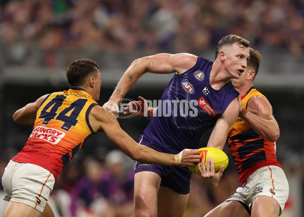 AFL 2025 Round 07 - Fremantle v Adelaide - A-58965728
