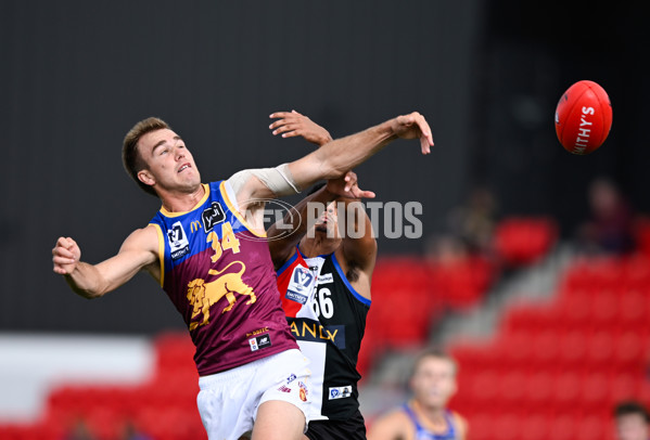 VFL 2025 Round 05 - Sandringham v Brisbane - A-58966318