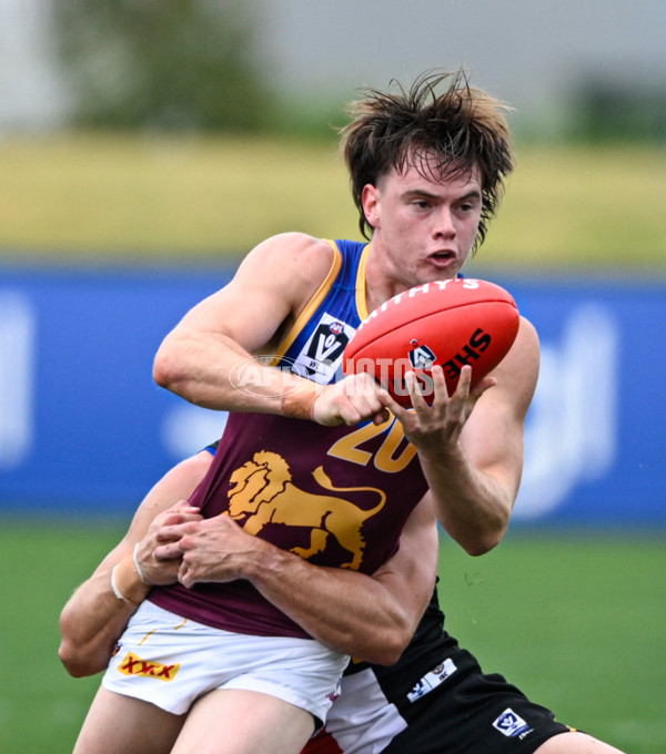 VFL 2025 Round 05 - Sandringham v Brisbane - A-58968354