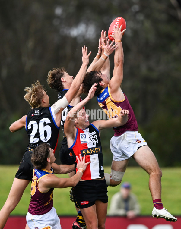 VFL 2025 Round 05 - Sandringham v Brisbane - A-58968976