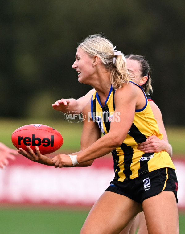 VFLW 2025 Round 02 - Sandringham v Casey - A-58974113