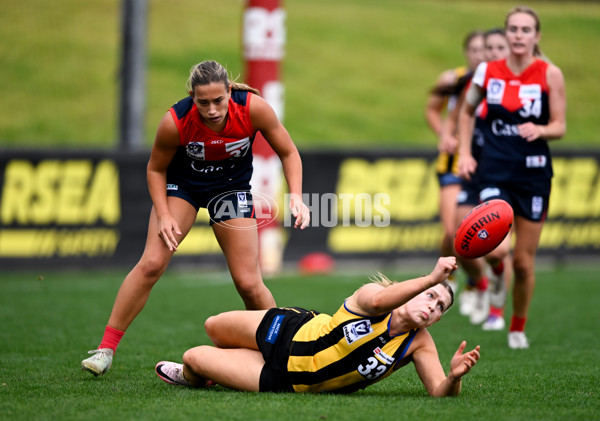 VFLW 2025 Round 02 - Sandringham v Casey - A-58974196