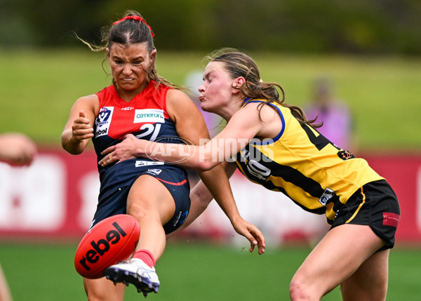 VFLW 2025 Round 02 - Sandringham v Casey - A-58974198