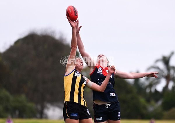 VFLW 2025 Round 02 - Sandringham v Casey - A-58977197