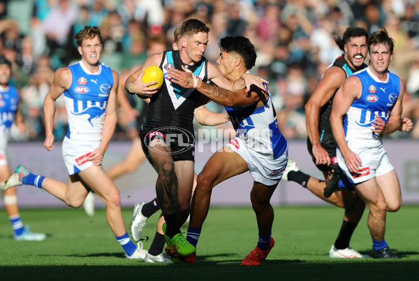 AFL 2025 Round 07 - Port Adelaide v North Melbourne - A-58982751