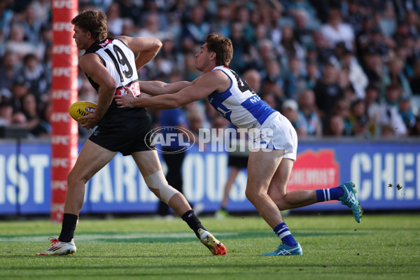AFL 2025 Round 07 - Port Adelaide v North Melbourne - A-58982753