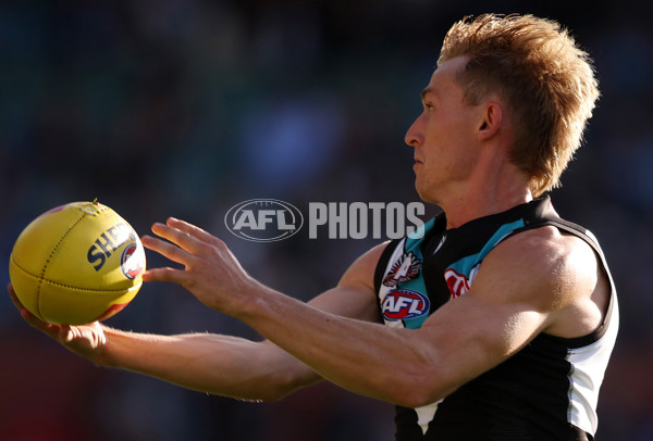 AFL 2025 Round 07 - Port Adelaide v North Melbourne - A-58982781
