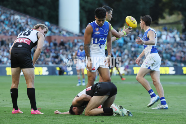 AFL 2025 Round 07 - Port Adelaide v North Melbourne - A-58984445