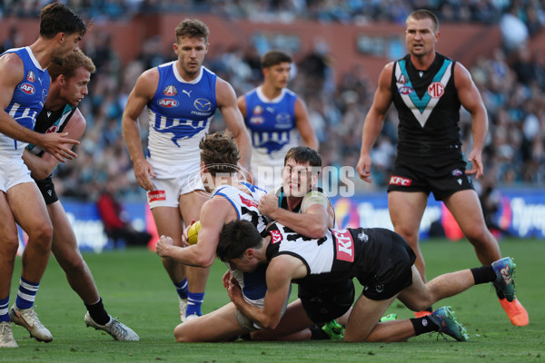 AFL 2025 Round 07 - Port Adelaide v North Melbourne - A-58984496