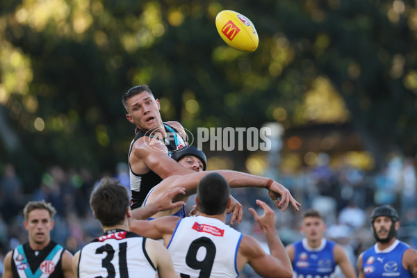 AFL 2025 Round 07 - Port Adelaide v North Melbourne - A-58985425