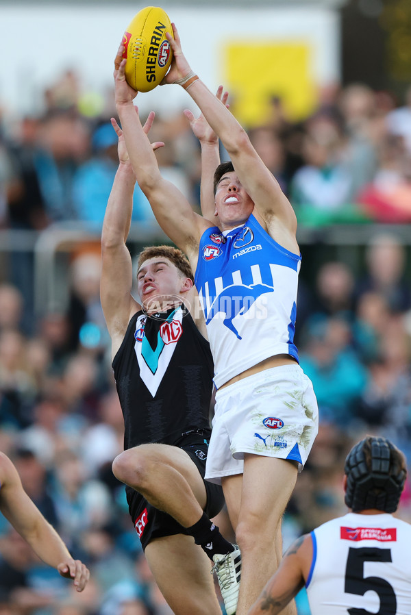AFL 2025 Round 07 - Port Adelaide v North Melbourne - A-58985464