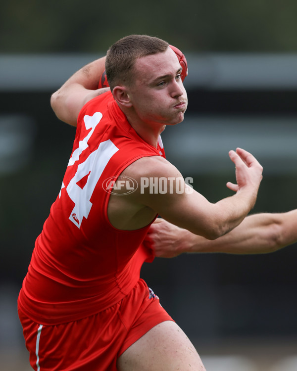 Young Guns Series 2025 - Young Guns v Victoria Metro U18 Boys - A-58988256