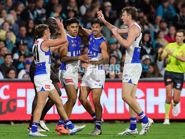 AFL 2025 Round 07 - Port Adelaide v North Melbourne - A-58988277