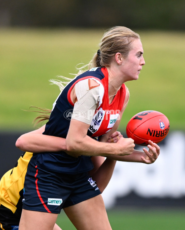 VFLW 2025 Round 02 - Sandringham v Casey - A-58989883