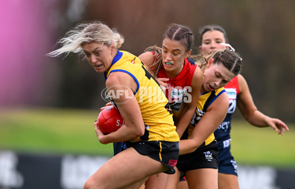VFLW 2025 Round 02 - Sandringham v Casey - A-58992865