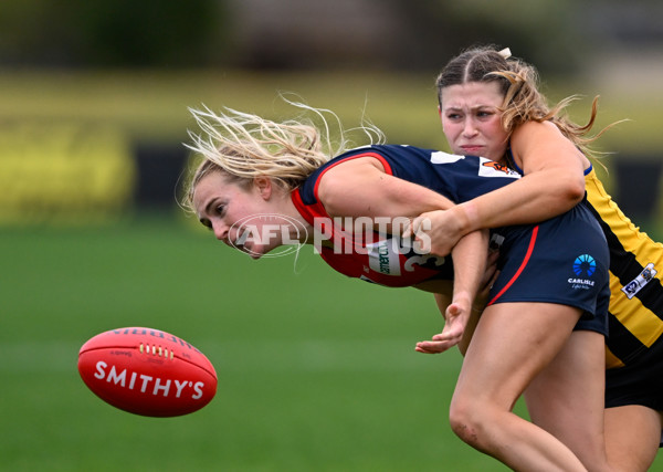 VFLW 2025 Round 02 - Sandringham v Casey - A-58995347