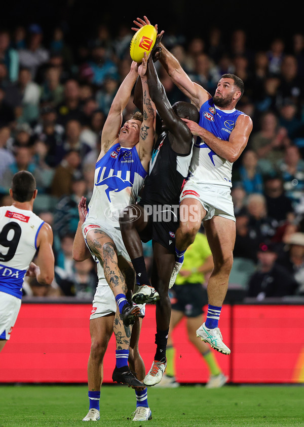 AFL 2025 Round 07 - Port Adelaide v North Melbourne - A-58995407